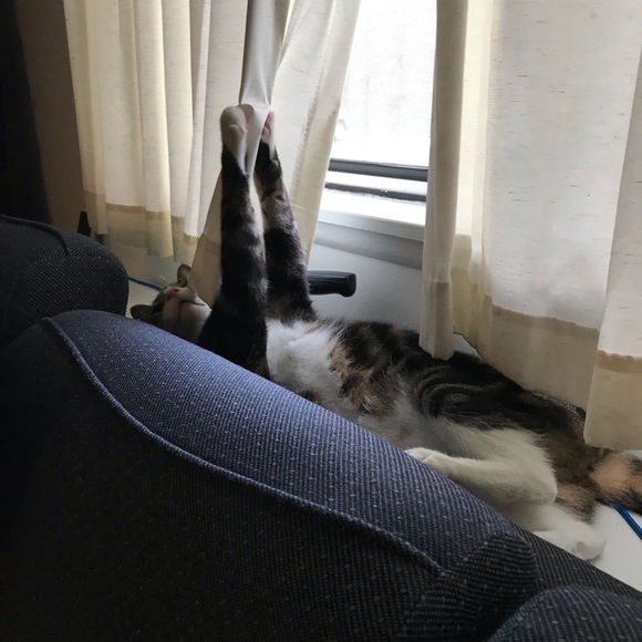 Meet your Posher, Alyssa - Picture 1 of 1